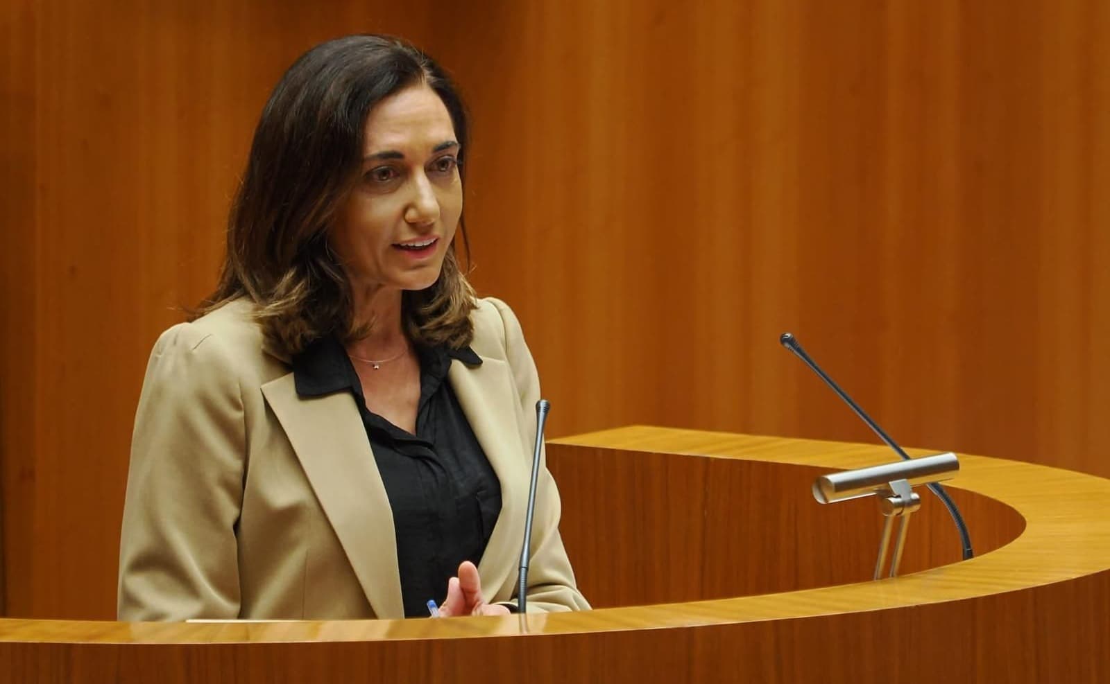 Alicia Gallego encabezará la lista de UPL a las elecciones autonómicas de 2026